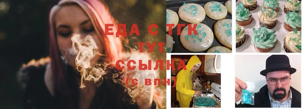 хмурый Алексин