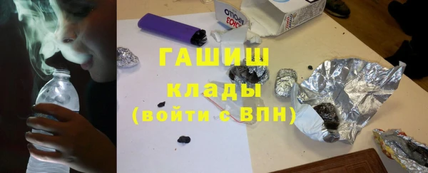 хмурый Алексин