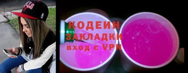 хмурый Алексин