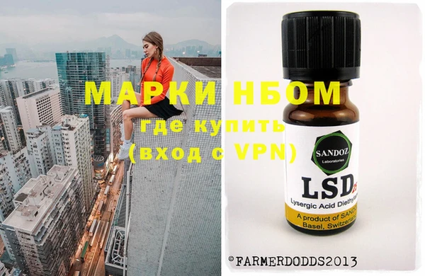 хмурый Алексин