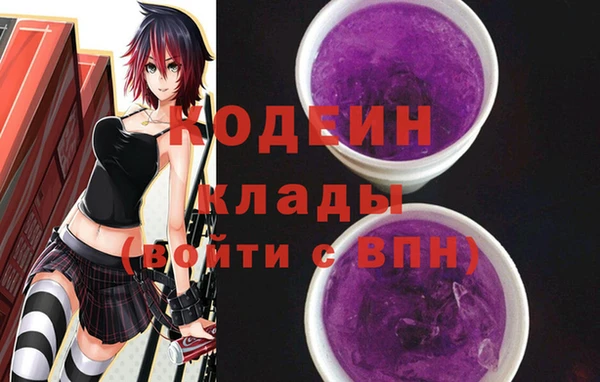 хмурый Алексин