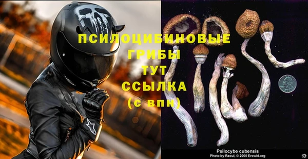 хмурый Алексин