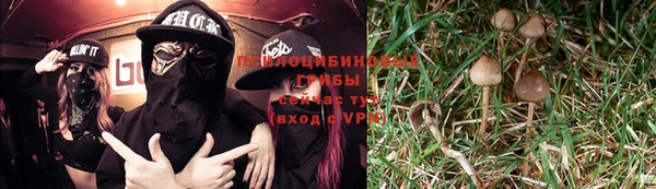хмурый Алексин